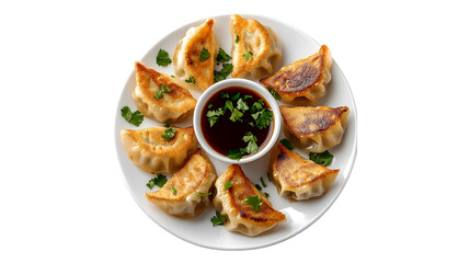 Fototapeta premium Pan-fried dumplings delicious Asian cuisine savory snack