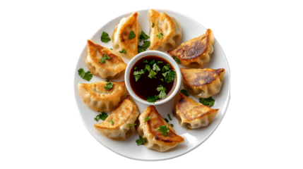 Pan-fried dumplings delicious Asian cuisine savory snack