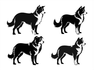border collie sihouette black vector bundle