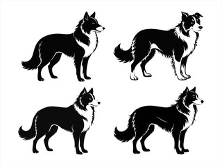 border collie sihouette black vector bundle