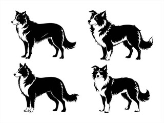 border collie sihouette black vector bundle