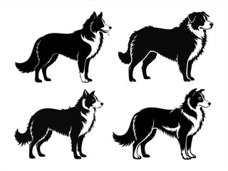 border collie sihouette black vector bundle