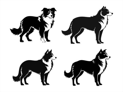 border collie sihouette black vector bundle