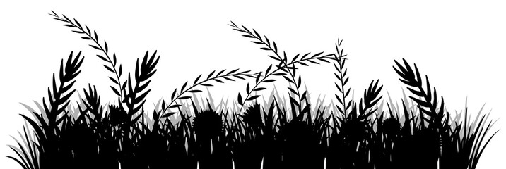grass silhouette on white background