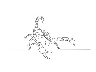 Continuous one line drawing of scorpion or scorpio. Scorpion king outline illustration. Editable vector.
