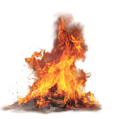 Burning Fire with Smoke and Logs