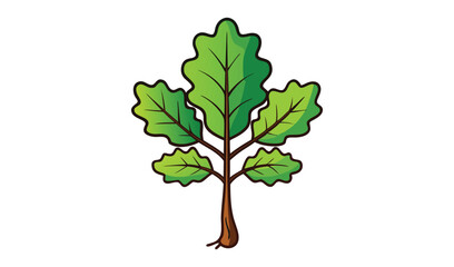 Obraz premium green tree isolated on white background