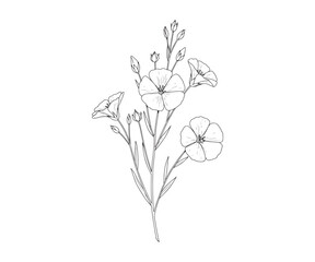 Flax and flowers. Vector stock illustration in EPS10 format. Outlined and isolated on a white background. Hand-drawn design.