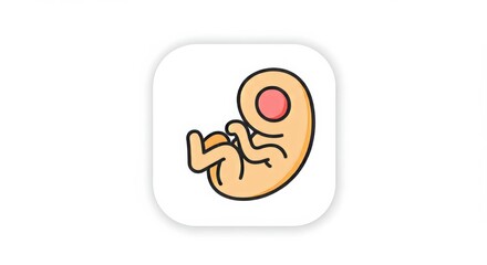 Stylized Fetus Illustration Representing Pregnancy and Early Human Development