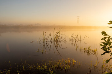 Morning fog on the lake at dawn. Colourful glow in the sky, with surrounding forest trees reflected in the calm water, in an atmospheric landscape.