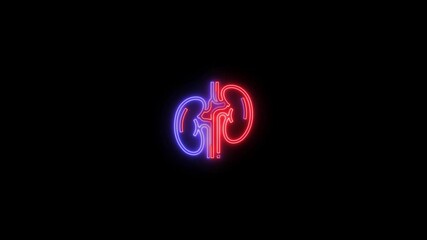 Glowing Human kidney icon animation. This renal system symbol is a neon kidney animation. The kidney was divided into the right and left halves icon animated