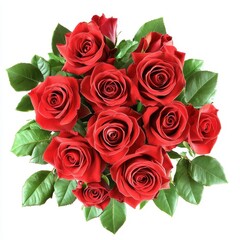 Fototapeta premium Beautiful Arrangement of Fresh Red Roses Surrounded by Green Leaves Perfect for Celebrations, Decorations, and Romantic Occasions in Bright White Background