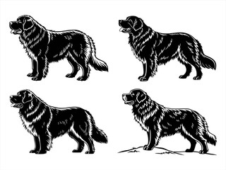 newfoundland dog sihouette black vector bundle