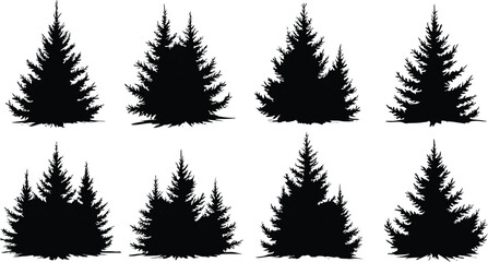 Fototapeta premium collection a set of Christmas trees