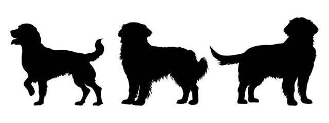 vector silhouette of a horse