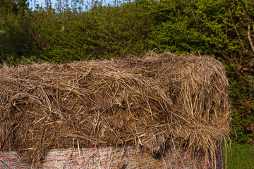 Closeup of cylindrical wrapped in netting hay bale with dry straw texture in rural farm setting.