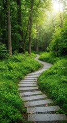 Obraz premium Stone Path Winding Through Green Forest Nature Journey