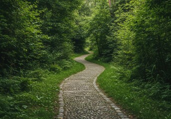 Stone Path Winding Through Green Forest Nature Journey