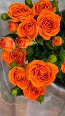 Orange flowers in the park