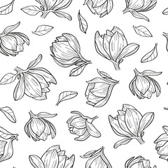Seamless pattern of magnolia flowers. Hand-drawn illustration on white background.
