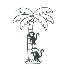 Two black monkeys climbing a palm tree with green leaves and coconuts , 