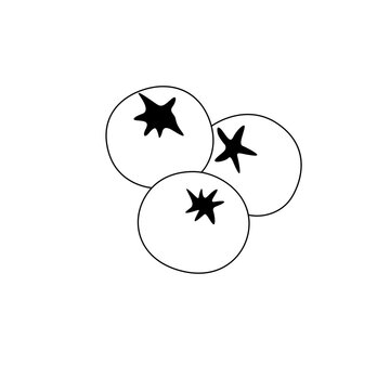 recommend clip art: line art tomato