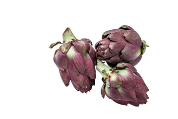 Three Cynara cardunculus scolymus artichokes, isolated on a white background