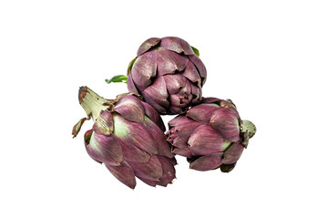 Three Cynara cardunculus scolymus artichokes, isolated on a white background