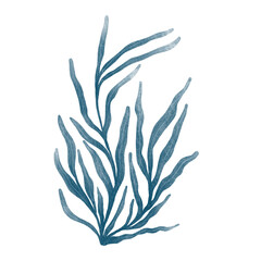 Watercolor illustration of deep blue seaweed with organic flowing shapes. Hand painted marine botanical element perfect for ocean designs, nature prints and underwater themed compositions. © Marina