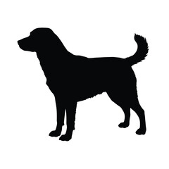 Detailed black silhouette artwork of a standing dog, emphasizing its distinct profile and tail curve. Perfect for design, educational, and artistic creations.

