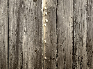 Embrace the Natural Canvas: Elevate Your Designs with the Enchanting Beauty of Wooden Texture