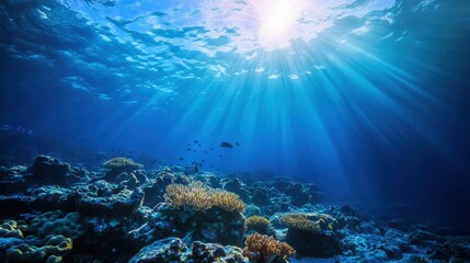 Submerged coral reef illuminated by sunlight.