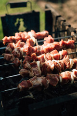 The shashliks are fried on the grill