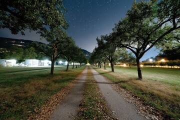 Fototapeta premium A serene pathway runs through trees under a starlit sky, inviting quiet contemplation and exploration amidst the tranquility of nature at night.