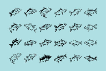 cod fish design, labeled line art vector silhouette illustration.