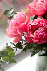 Bouquet of stylish peonies close-up. Pink peony flowers. Close-up of flower petals. Floral greeting card or wallpaper. Delicate abstract floral pastel background. Card Concept, copy space for text 