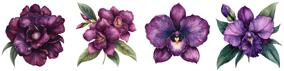 Obraz premium Elegant purple floral arrangement in nature