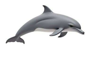 Obraz premium A dolphin isolated on white background 