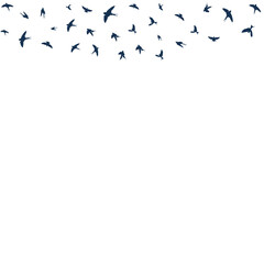 Birds Fly in the Air Vector