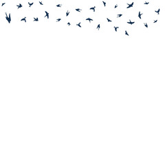 Birds Fly in the Air Vector