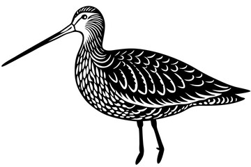 Cute Bird Line Art Vector – Minimalist Bird Illustration, Logo Icon & Clip art on White Background