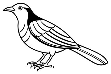 Cute Bird Line Art Vector – Minimalist Bird Illustration, Logo Icon & Clip art on White Background