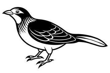 Cute Bird Line Art Vector – Minimalist Bird Illustration, Logo Icon & Clip art on White Background