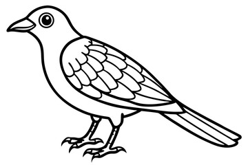 Cute Bird Line Art Vector – Minimalist Bird Illustration, Logo Icon & Clip art on White Background