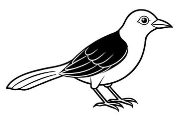 Cute Bird Line Art Vector – Minimalist Bird Illustration, Logo Icon & Clip art on White Background