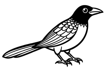 Cute Bird Line Art Vector – Minimalist Bird Illustration, Logo Icon & Clip art on White Background