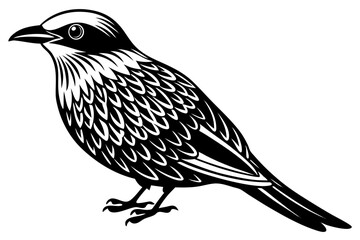 Cute Bird Line Art Vector – Minimalist Bird Illustration, Logo Icon & Clip art on White Background