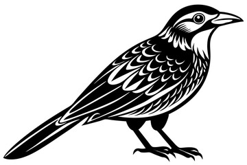 Cute Bird Line Art Vector – Minimalist Bird Illustration, Logo Icon & Clip art on White Background
