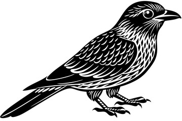 Cute Bird Line Art Vector – Minimalist Bird Illustration, Logo Icon & Clip art on White Background