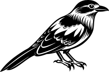 Cute Bird Line Art Vector – Minimalist Bird Illustration, Logo Icon & Clip art on White Background